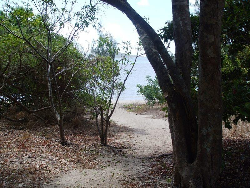 61 Trochus Street, Dingo Beach QLD 4800