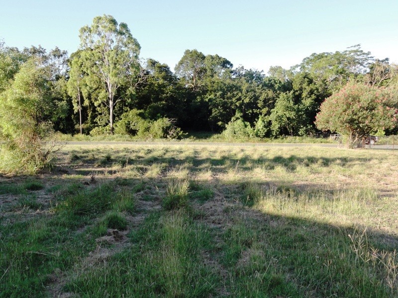 61 Trochus Street, Dingo Beach QLD 4800