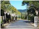 119 Botanica Drive, Cannonvale QLD 4802