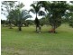 24 Moodys Rd, Strathdickie QLD 4800
