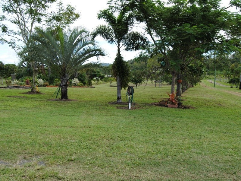 24 Moodys Rd, Strathdickie QLD 4800