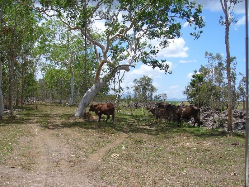 Lot 2 Kelsey Creek Rd, Proserpine QLD 4800