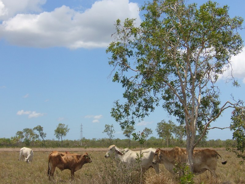 Lot 2 Kelsey Creek Rd, Proserpine QLD 4800