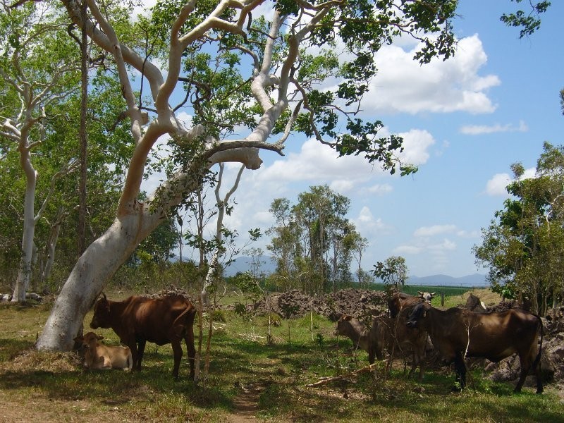 Lot 2 Kelsey Creek Rd, Proserpine QLD 4800