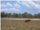 Lot 2 Kelsey Creek Rd, Proserpine QLD 4800