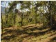 Lot 39 Parkland Dve, Cannonvale QLD 4802