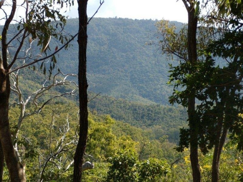 Lot 39 Parkland Dve, Cannonvale QLD 4802