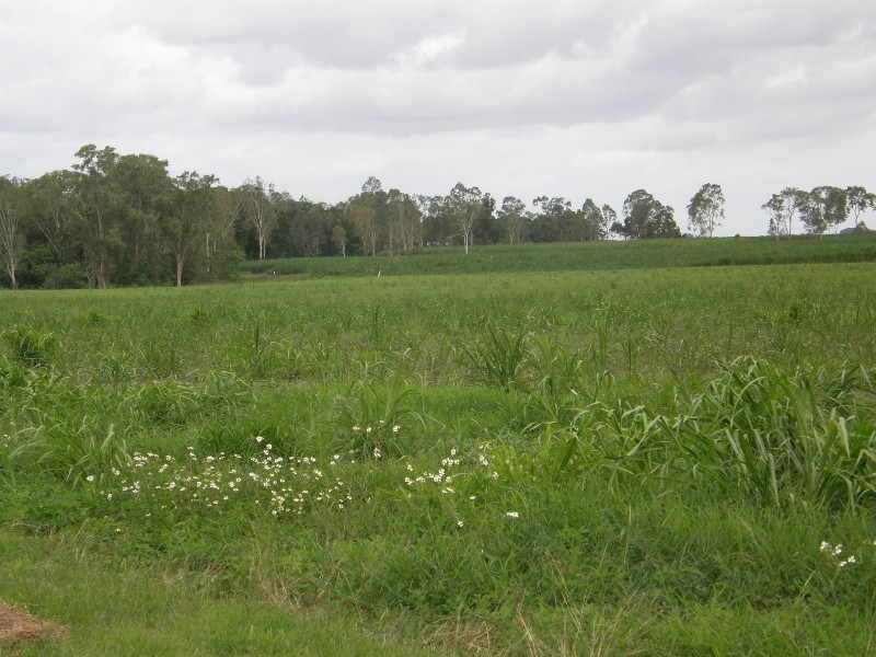 Lot 4, 12924 Bruce Hwy, Proserpine QLD 4800
