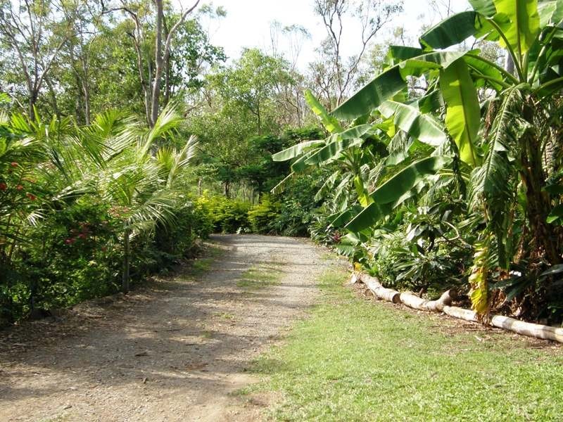 317 Sugarloaf Road, Sugarloaf QLD 4800