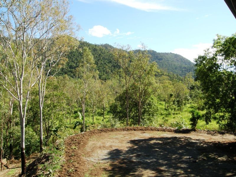 317 Sugarloaf Road, Sugarloaf QLD 4800