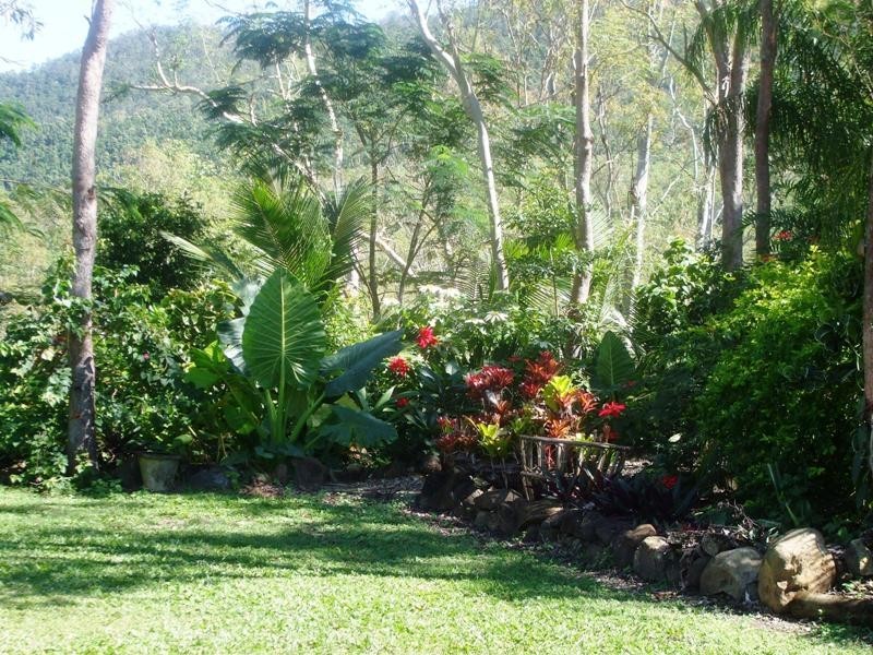 317 Sugarloaf Road, Sugarloaf QLD 4800