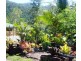 317 Sugarloaf Road, Sugarloaf QLD 4800