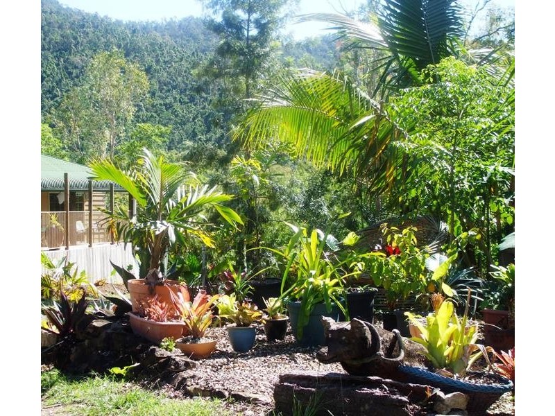317 Sugarloaf Road, Sugarloaf QLD 4800