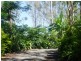 317 Sugarloaf Road, Sugarloaf QLD 4800