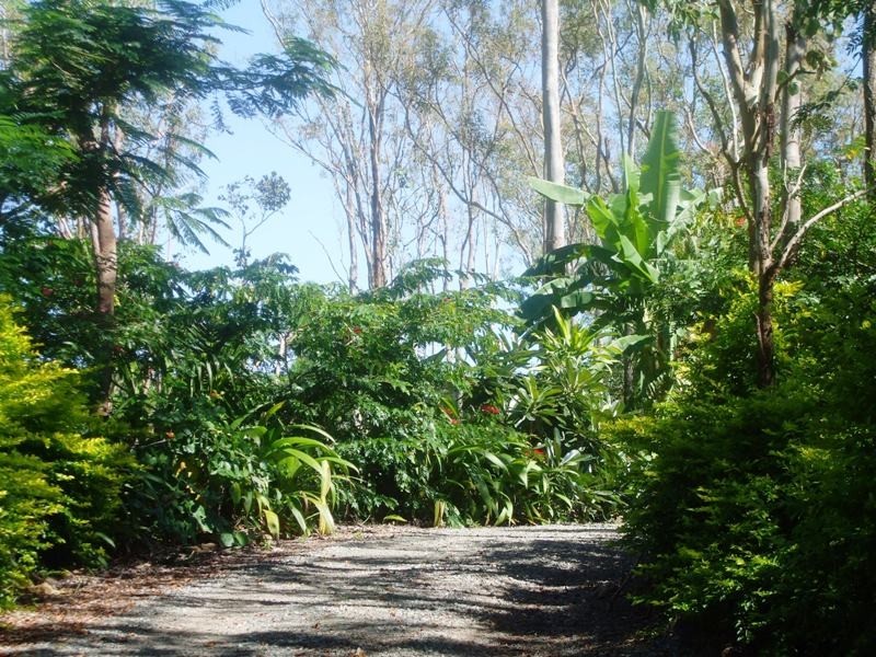 317 Sugarloaf Road, Sugarloaf QLD 4800