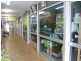 35 Main St, Proserpine QLD 4800