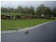 Lot 17 Tanika Rd, Ridgehaven Estate, Cannonvale QLD 4802