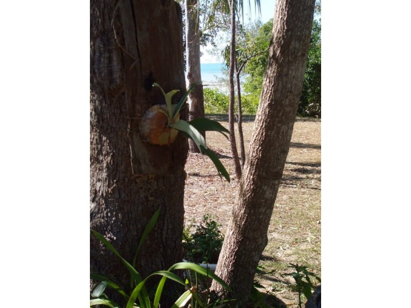 42 Gloucester Av., Hideaway Bay QLD 4800