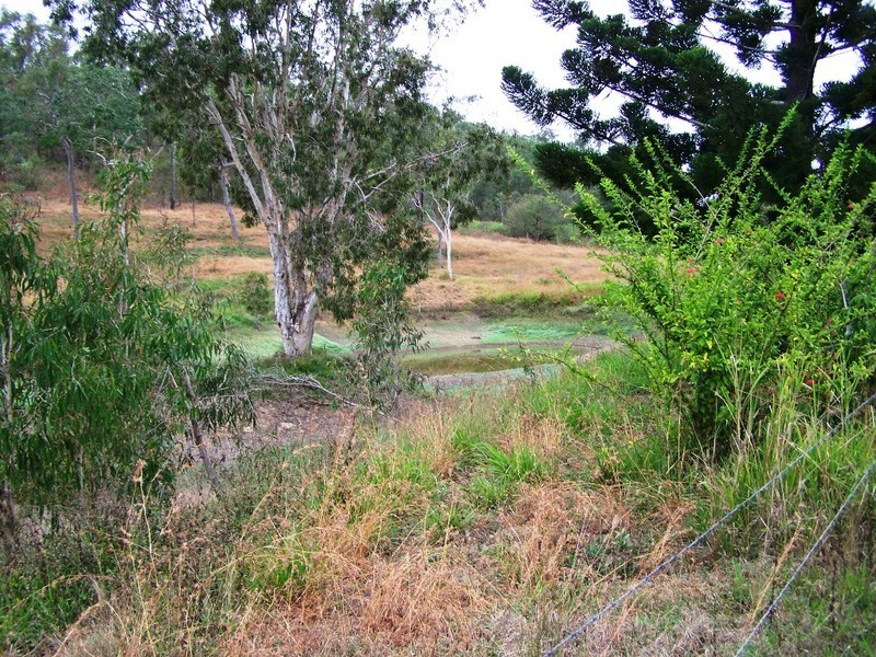 254 Thorogood Rd, Proserpine QLD 4800