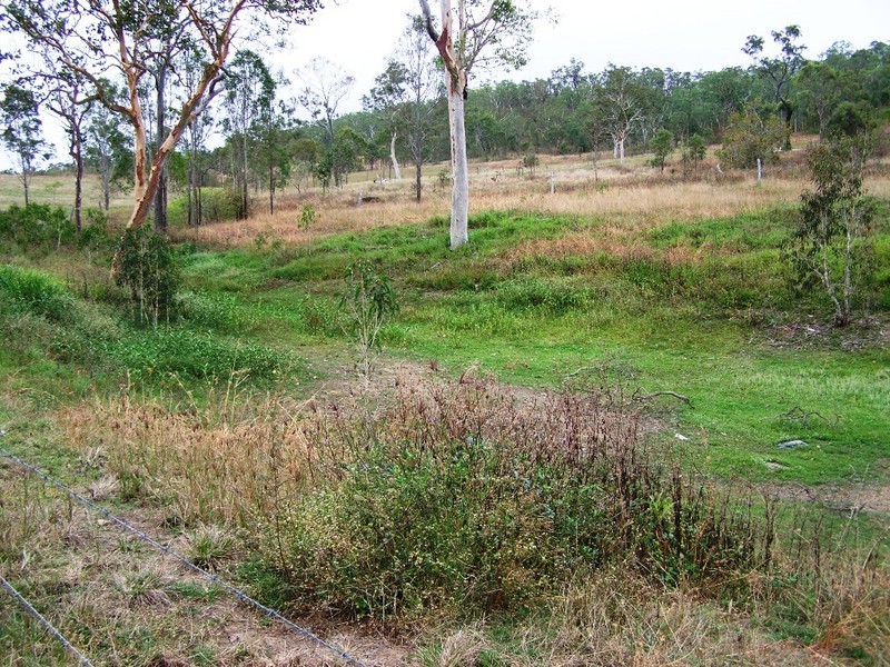 254 Thorogood Rd, Proserpine QLD 4800