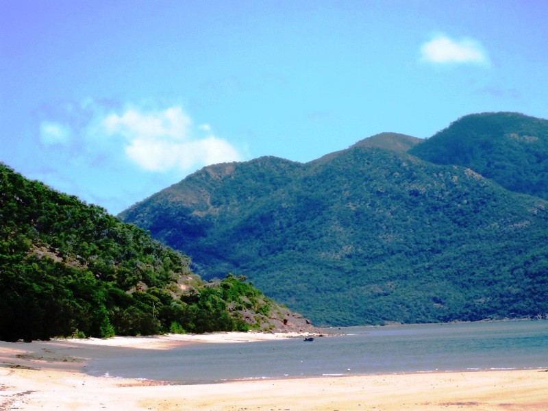8 Blackcurrent Drive, Hideaway Bay QLD 4800