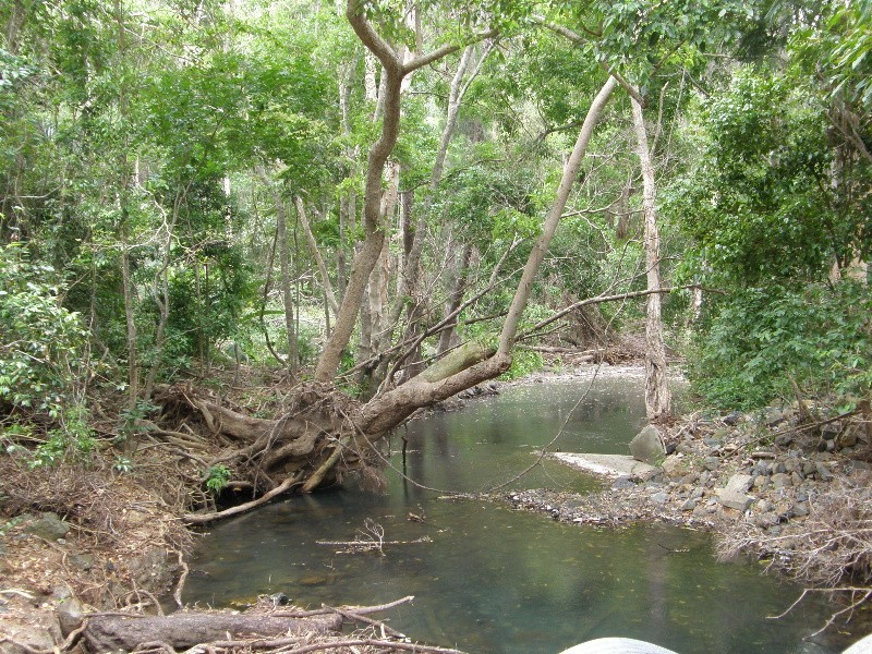 16 Frederick St, Dittmer QLD 4800