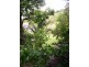 38 Roseric Crescent, Hideaway Bay QLD 4800