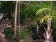 38 Roseric Crescent, Hideaway Bay QLD 4800