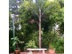 38 Roseric Crescent, Hideaway Bay QLD 4800