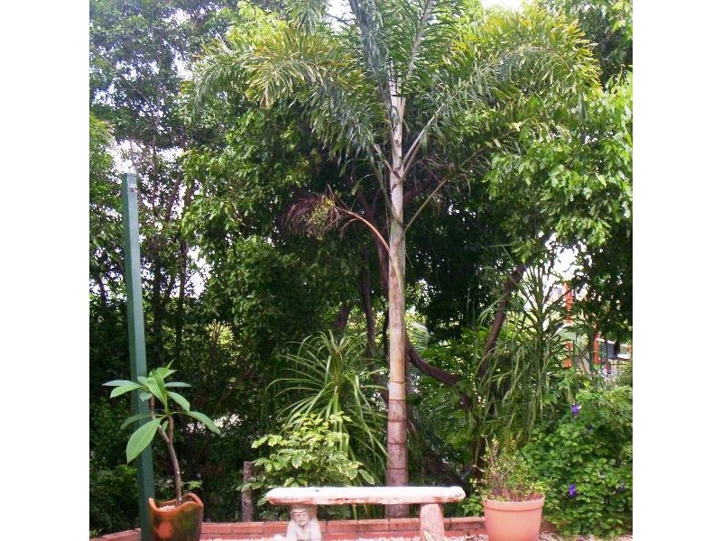 38 Roseric Crescent, Hideaway Bay QLD 4800