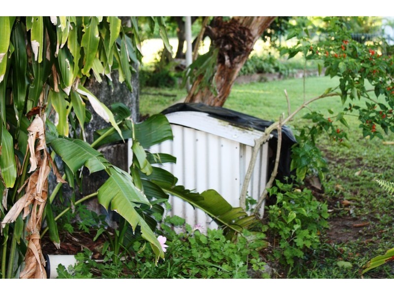 41 Peters Ave, Midge Point QLD 4799