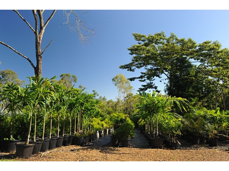 848 Conway Rd, Preston QLD 4800