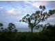 Lot 1 / 22 Rattray Avenue, Hideaway Bay QLD 4800