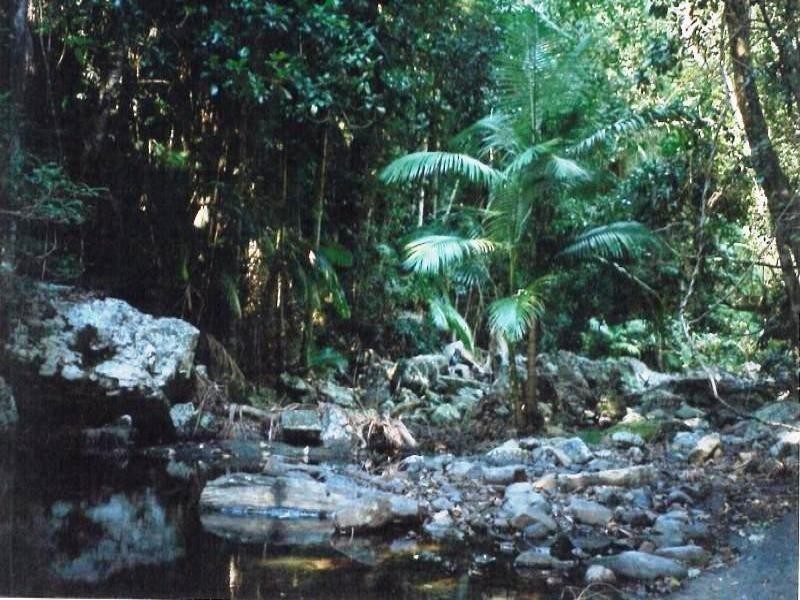 Lot 136 Cedar Creek Falls Road, Conway QLD 4800