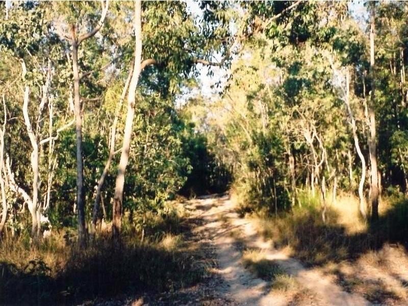 Lot 136 Cedar Creek Falls Road, Conway QLD 4800