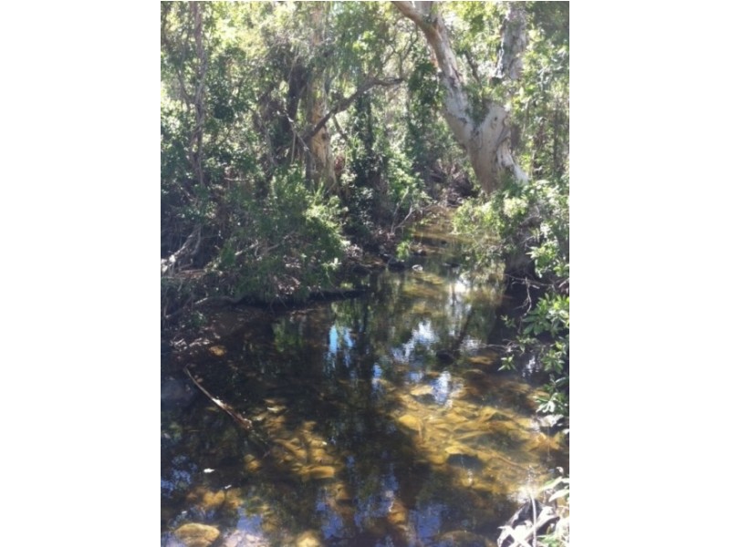 33 Carlisle Crescent, Bloomsbury QLD 4799