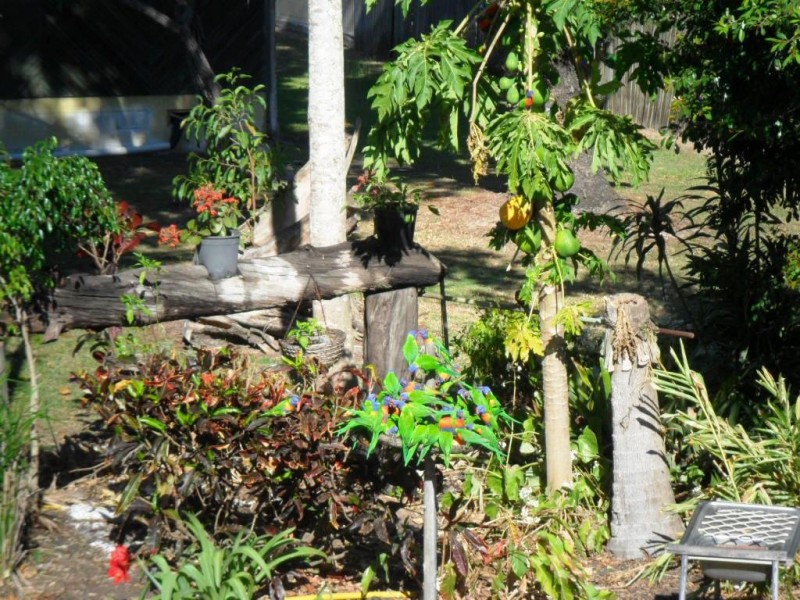 1 Chapman Street, Proserpine QLD 4800