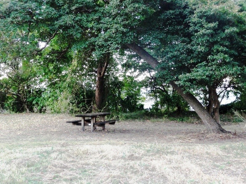 72 Gloucester Avenue, Hideaway Bay QLD 4800