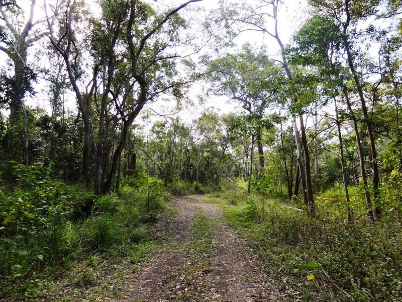 Lot 7 Rifle Range Road, Mount Marlow QLD 4800