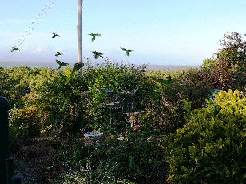 13 O’Flynn Cres., Midge Point QLD 4799