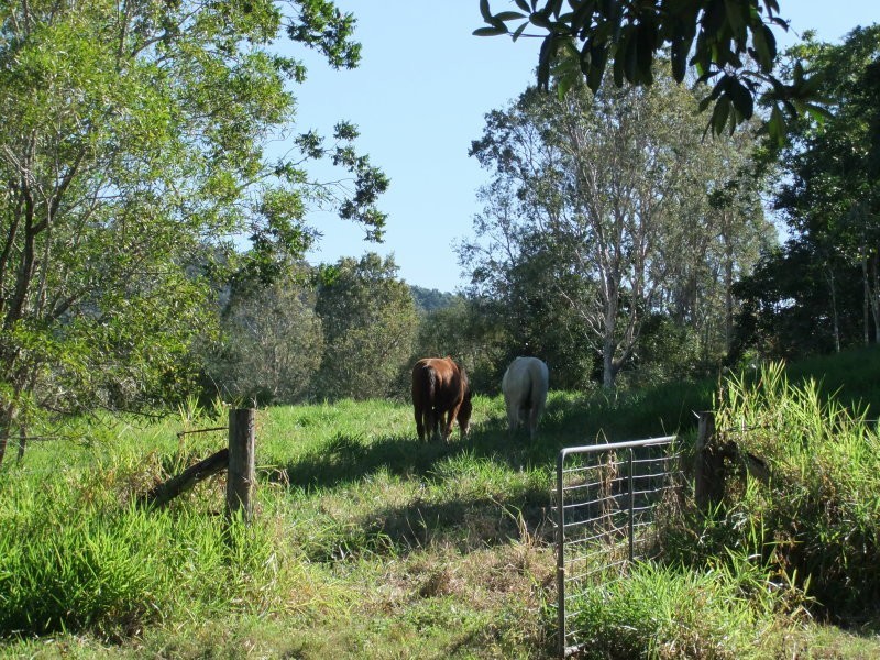 1 Staniland Drive, Strathdickie QLD 4800