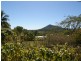 9 Beck Road, Mount Julian QLD 4800