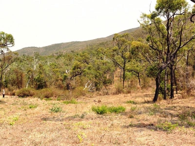 9 Olden Court, Hideaway Bay QLD 4800