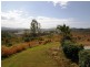 85 Bruce Highway, Bloomsbury QLD 4799