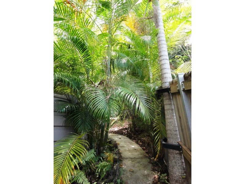 61 Moonlight Drive, Airlie Beach QLD 4802