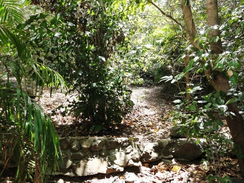 61 Moonlight Drive, Airlie Beach QLD 4802