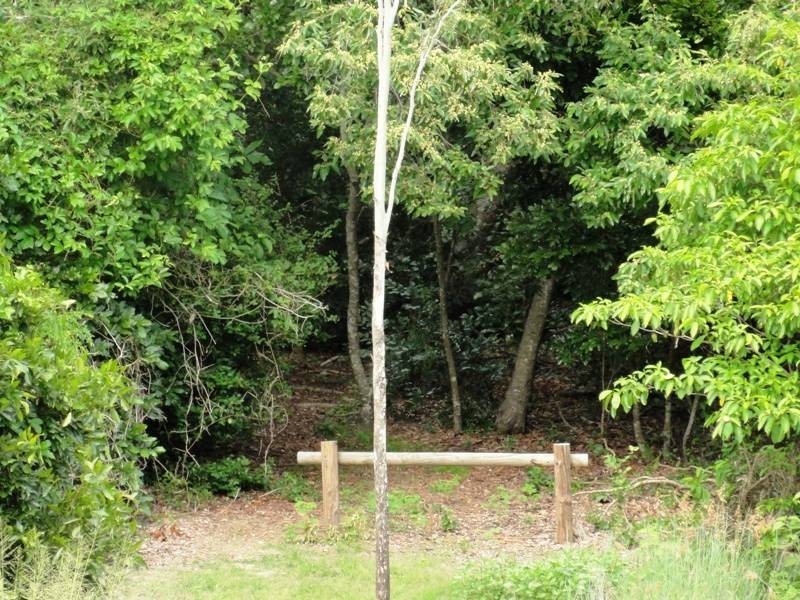 65 Trochus Street, Dingo Beach QLD 4800