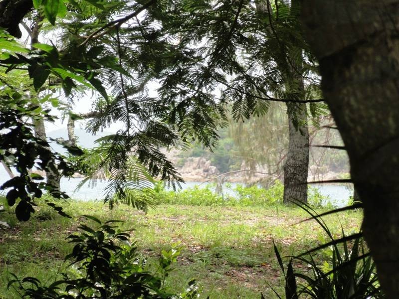 56 Gloucester Av., Hideaway Bay QLD 4800