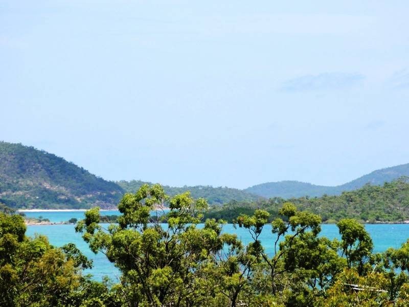 54 Pioneer Drive, DINGO BEACH, Airlie Beach QLD 4802