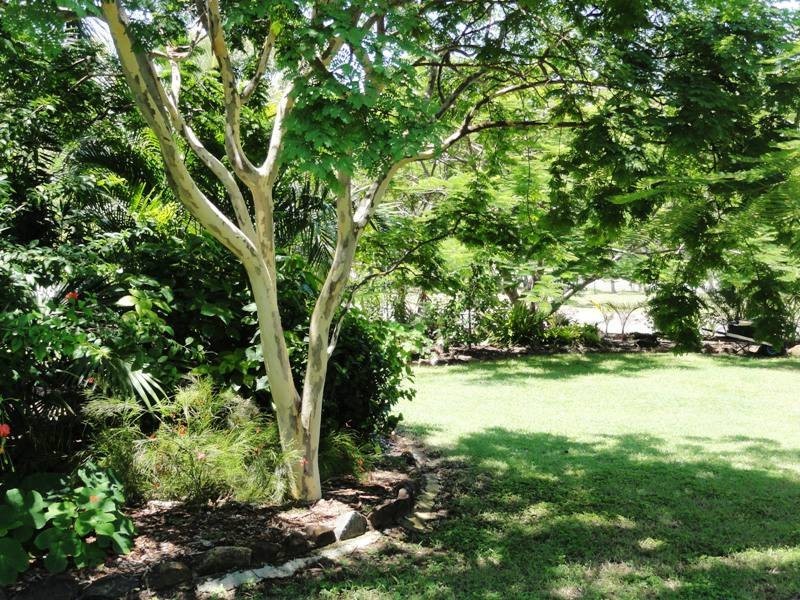 54 Pioneer Drive, DINGO BEACH, Airlie Beach QLD 4802